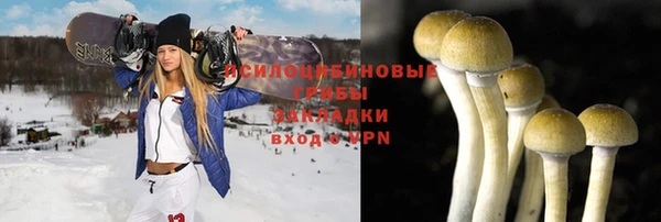 дживик Апатиты