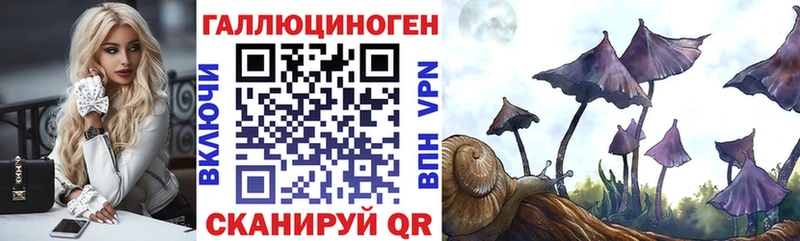 Псилоцибиновые грибы мухоморы  Новокубанск 