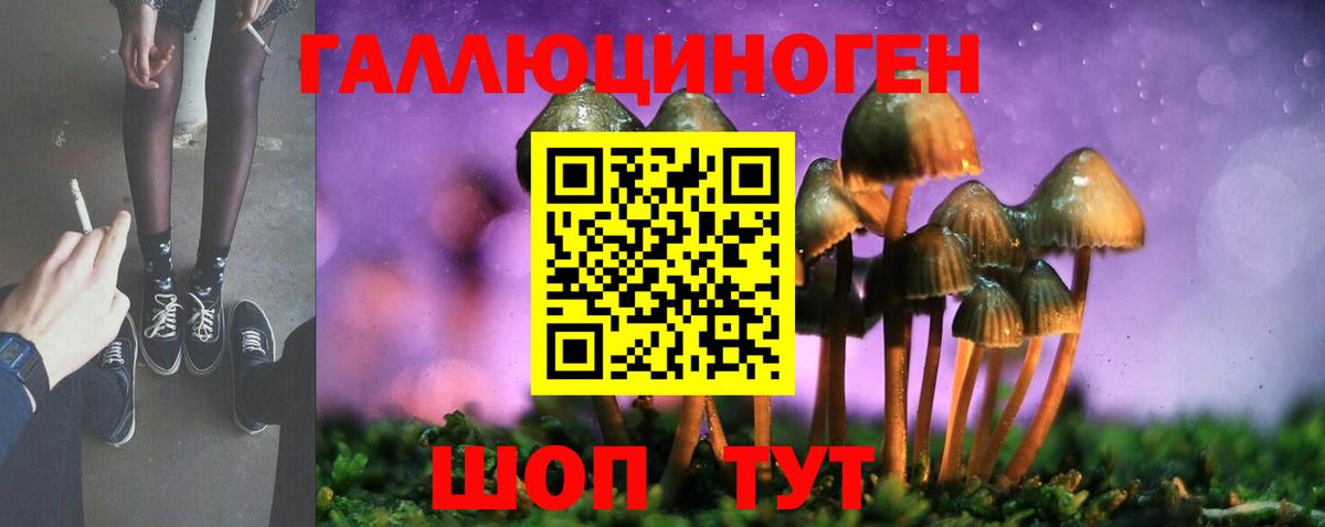 Новокубанск  купить наркотик  Вход с VPN  Галлюциногенные грибы Cubensis 